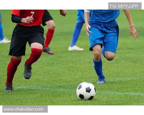 探索足球赛的多样性与魅力：从职业联赛到业余比赛的全面解析